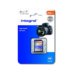 Integral Carte mémoire 256 Go INSDX256G-100V30