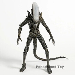 Avis Universal NECA Alien 1979 Alien PVC Action Figures Collection Modèle Jouet | Action Figures(Le cuivre)