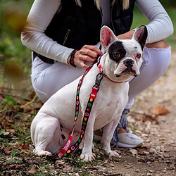 Laisse pour Chien Marvel Rouge