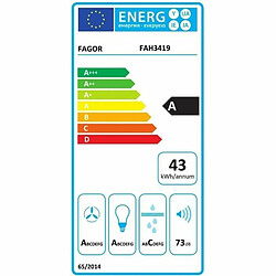 Avis Hotte standard Fagor