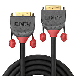 Lindy 36240 câble DVI 10 m DVI-D Noir