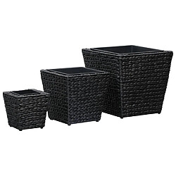 vidaXL Lits surélevés 3 pcs Jacinthe d'eau Noir