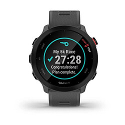 Montre connectée sport - GARMIN - Forerunner 55 - Monterra Grey (Gris)