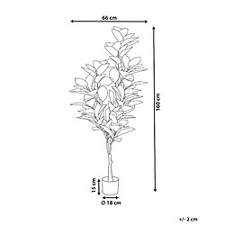 Avis Beliani Plante artificielle FICUS ELASTICA Vert