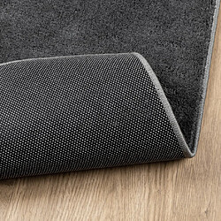 Acheter vidaXL Tapis OVIEDO à poils courts anthracite 60x110 cm