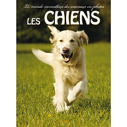 Les chiens