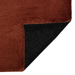 Avis Atmosphera, Createur D'Interieur Tapis reflet Joanne 160x230 cm terracotta - ATMOSPHERA