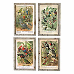 Cadre DKD Home Decor Oiseaux (45 x 2 x 65 cm) (4 Unités)