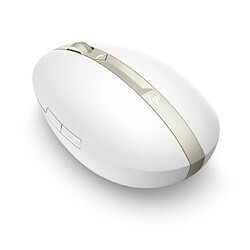 Avis HP 700 souris Ambidextre Bluetooth 1600 DPI