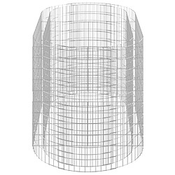 Acheter vidaXL Lit surélevé à gabion Fer galvanisé 200x100x100 cm