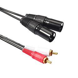 Avis Câble double RCA vers XLR mâle