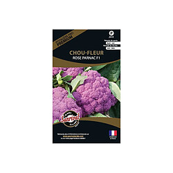 Sanrival Graines potagères premium chou Chou-fleurs Rose Parnac