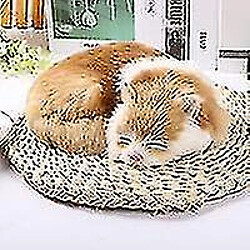 Universal 1pc mini animaux en peluche mignons - chats endormis pour la maison méloterne