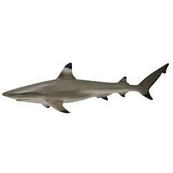 Figurines Collecta Figurine : requin à pointes noires