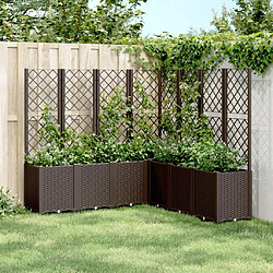 Maison Chic Jardinière,Bac à fleurs avec treillis - pot de fleur marron 160x160x140 cm PP -GKD72468