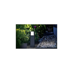 Acheter Ledkia Balise LED Extérieure 6W en Saillie sur Pied 40cm Pedestal Arbour Anthracite