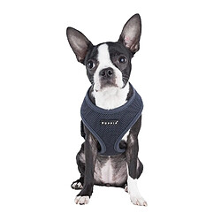 Puppia Soft Harnais A pour Chien Gris Taille S