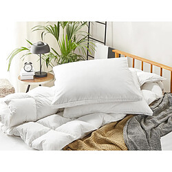 Beliani Lot de 2 oreillers en plumes et duvet de canard 80 x 80 cm VIHREN