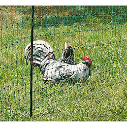 Ako Agrartechnik Filet poule 50m Hauteur 1,12m simple pointe PoultryNet pas cher