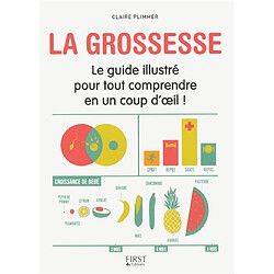 La grossesse : le guide illustré pour tout comprendre en un coup d'oeil !