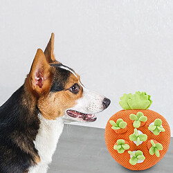 Jouet à mâcher Snuffle Dog Toys Pull Carrot pour chiens, encourageant les capacités de recherche de nourriture.