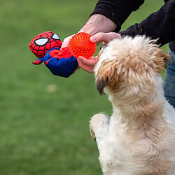 Jouet pour chien Spiderman Rouge pas cher