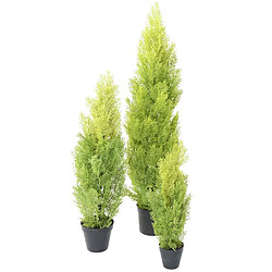 Avis Pegane Plante artificielle haute gamme Spécial extérieur / Cyprès artificiel coloris vert/jaune - Dim : 125 x 25 cm