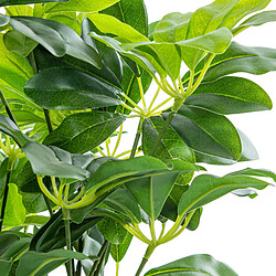 Avis Plante décorative Alexandra House Living Plastique Schefflera 155 cm