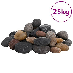 vidaXL Galets polis 25 kg multicolores 5-8 cm