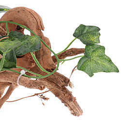 Avis Racine De Rhododendron Naturel Avec Des Feuilles De Vigne Enveloppées Ornement De Vivarium De Reptile