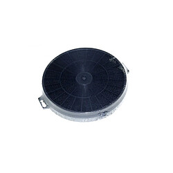 FILTRE CHARBON ACTIF X1 Ø 210 M/M POUR HOTTE ROSIERES - 49018362