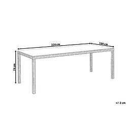 Avis Beliani Table de jardin 220 x 100 cm Verre Marron foncé ITALY