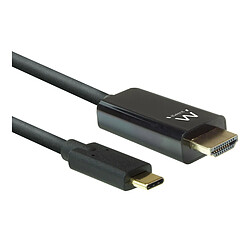 Cable Ewent EW9826 USB-C a DisplayPort 4K/60Hz 2m Negro