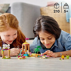 Acheter LEGO Friends Le terrain de jeu des animaux