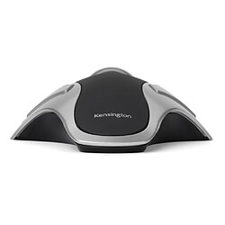 Kensington K64327F mouse