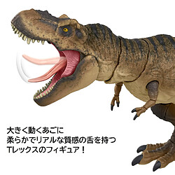 Avis Mattel Jurassic World Jurassic Park Hammond Collection Tyrannosaurus Rex Figurine de Dinosaure 61 cm de Long avec 14 articulations Mobiles, Collection de Film