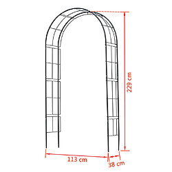 Nature Arche de jardin métal 229x38x113 cm noir pas cher