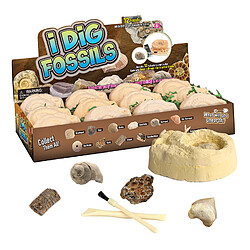 Acheter Dino Egg Creuser Kit Archéologie Fossile Jouets Amusants éducatifs Fossiles