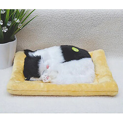 Avis dormir chaton chat peluche en peluche animal de compagnie jouets à sonnettes décor à la maison noir blanc