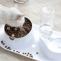Bol d'alimentation automatique pour chats - Double bol