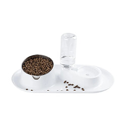 Bol d'alimentation automatique pour chats - Double bol