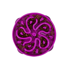 Avis Outward Hound Slo Bowl Mangeoire lente - Violet