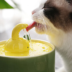 Fontaine automatique en céramique pour animaux - Vert