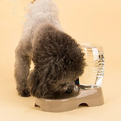 Alimentateur automatique pour animaux - Large capacité