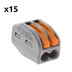 Wago bornes automatiques S222, 2 entrées