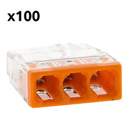 Wago bornes de connexion S2273 - lot de 100