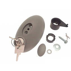 BFT Poignée de déverrouillage IGEA Accessoire motorisation BFT IGEA BT 24V - Couleur grise - Action manuelle