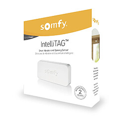 Avis Somfy 2401487