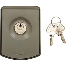 Somfy Commande Clé 2400597