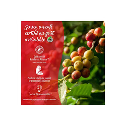 Avis Senseo dosettes café corsé X40